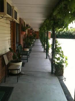 Motel The Wayfarer Muswellbrook